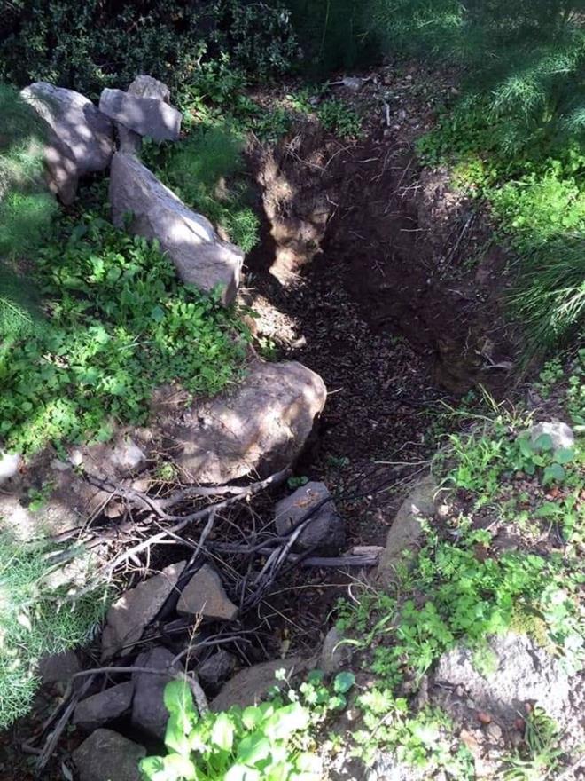 Bodrum'da geen hafta da 3 bin 500 yllk tarihi gemie sahip Pedasa Antik Kenti'ndeki lahit talan edilmiti.