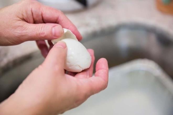 Yumurta temel aminoasitler iermesi, yksek kaliteli bir protein kayna olmas asndan ocuklarda bymeye destek, hamile ve emziren annelerin ise gnlk protein ihtiyalarnn karlanmasnda ucuz bir besin olarak yer almaldr.