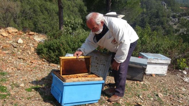 Geen sezonun kurak gitmesinden dolay arlarn bu yl ka zayf girdiini kaydeden Abdurrahman Cengiz, "Bu gnlerdeki yalanc baharn erken gelmesinden, bademlerin ve azgan ieklerinin, art sandal prnn erken amasndan dolay, arnn erken dar kp, akabinde de havalarn zamansz bir ekilde soumasnn hemen hemen yzde 30, yzde 40 gibi ar kayplarmz oluyor.