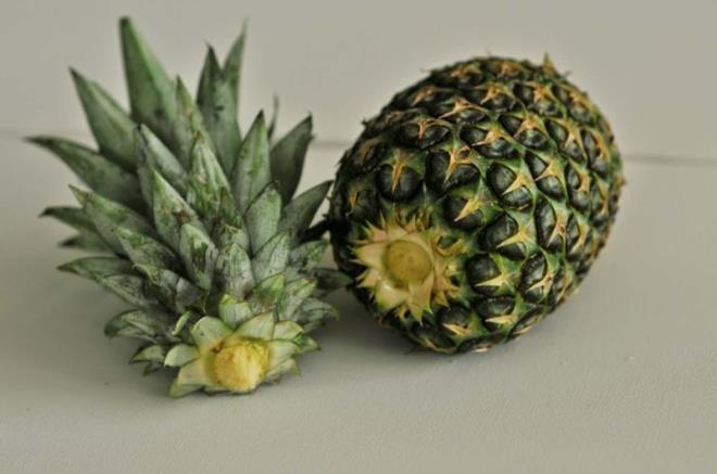 Uzmanlar bbrek talarn ortadan kaldrmak iin ananas tketmenizi tavsiye ediyor. Olduka basit ve ok salkl bir yntem olmann yan sra, ananas kabuu sayesinde pek ok kii doal olarak kilo vermektedir.