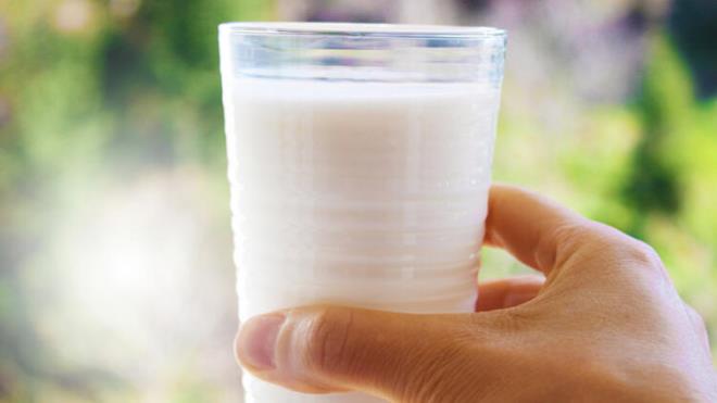 St, laktoz (en az rk oluturma potansiyeli olan eker) iermesine ramen yapsnda bulunan kazein, kalsiyum ve fosfat nedeniyle rk oluumunu nler, di salnn korunmasnda etkilidir