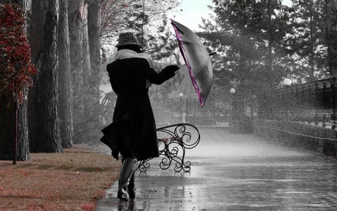 Meteoroloji'den yaplan son deerlendirmelerine gre; lkemizin kuzey kesimlerinin paral ve yer yer ok bulutlu, Orta ve Dou Karadeniz kylar, stanbul, Kocaeli, Yalova ve Kastamonu'nun kuzey ileleri ile Sinop evrelerinin yamurlu, Ardahan evreleri ile Rize ve Artvin'in yksek kesimlerinin karla kark yamur ve kar yal, dier yerlerin az bulutlu ve ak geecei tahmin ediliyor.