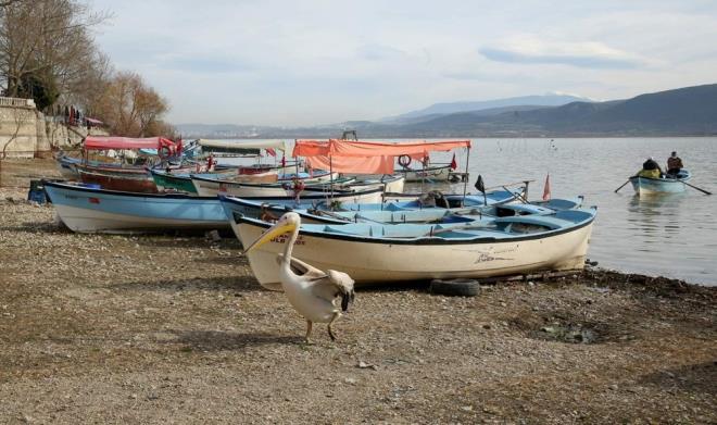 Uluabat glnn kysndaki sular altndaki sazlklar ve adacklar gn yzne kmt.