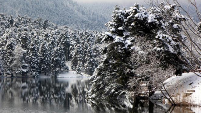 Glck Tabiat Park`nda aalarn gle yansmas esiz grntler oluturdu.