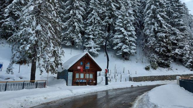 Kar ya sonras am ormanlar ve evlerin karl grnts bylyor.