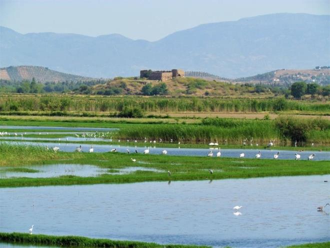Azap Gl ve evresinde, ekoturizm planlamalar ile ilgili gerekletirilen incelemelerin ardndan gln koruma ve kullanma dengesi ile evresinde yaayan yre halknn menfaatleri gzetilerek, gelecek nesillere ulatrlmas iin tm katlmclarn ortak katklaryla Ynetim Plan hazrland.  Avar ve Yeilky arasnda kalan Azap Gl?nn nesli kresel lekte tehlike altnda bulunan Tepeli Pelikanlar ve su kular olmak zere, yaz gmeni leylekler, yrtc kular, Saz Kedisi gibi nadir canl trlerini bnyesinde barndrdn ifade eden Ekosistemi Koruma ve Doa Sevenler Dernei (EKODOSD) Bakan Bahattin Src, gln, doal peyzaj, evresindeki Myus Antik Kenti, nekropol alanlar, apeller ve antik yollaryla ekoturizm faaliyetleri iin blgenin en gzel alanlarndan biri olduuna dikkat ekti.
