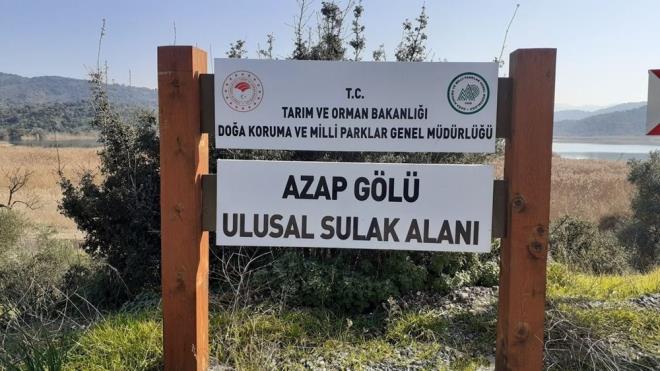 "TRLERN OALMASINI BEKLYORUZ"  Doa Koruma ve Milli Parklar (DKMP) Aydn ube Mdrl Mahalli Sulak Alan Komisyonu Karar ve Tepeli Pelikan Tr Eylem Plan kapsamnda Azap Gl?nn ava yasaklanmas gereken sahalar iine alndn ifade eden Src; ?Getirilen av yasa ile birlikte gldeki ku trlerinin de oalmas beklenmektedir. Azap Gl, her noktasndan kular grebilme avantajyla ku gzlemcileri iin ideal bir ku gzlem alandr. DKMP Aydn ube Mdrl tarafndan, yre halknn ekonomisine katk yapacak ekoturizm faaliyetleri iin, manzara seyir teraslar, ku gzlem kulesi, bilgilendirme ve ynlendirme tabelalar, Avar, Yeilky ve Myus?u doadan birbirine balayan iaretli yry rotalar, yre halknn rettii rnleri satabilmesi iin ahap stantlarn yaplmas dnlmektedir.