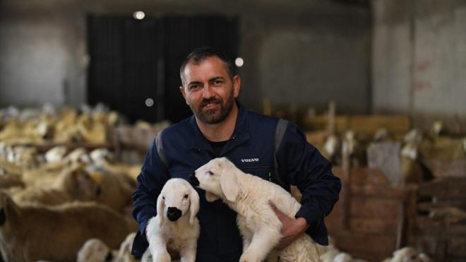 Sacaya Mahallesi`ndeki baba ocana dnen Gkhan Vurdem, koyunlarnn kuzulamasyla byk sevin yaad.