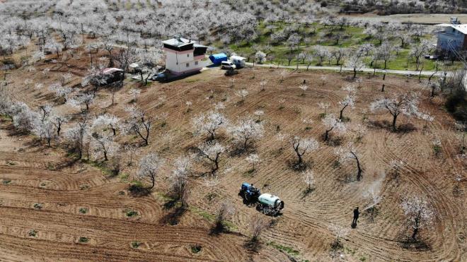 Beyaza brnen kays baheleri ortaya esiz bir manzara karrken, iftiler de bu dnemde youn bir mesai harcyor.
