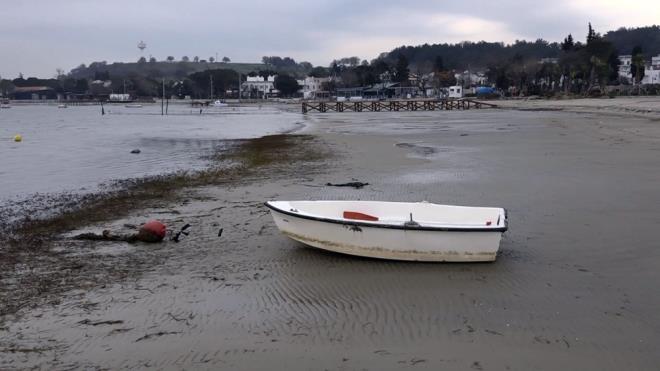 Dolaysyla s su olduu iin de kumsalda 25- 30 metrelik ekilme sz konusu olduunu syleyen Trkolu "Aslnda medcezir kapal denizlerde; Akdeniz, Marmara ve Karadeniz kapal denizdir. Burada gn iindeki medceziri hissetmek olduka zor. Ancak mevsimsel olarak, biz bunu spring tide olarak da biliyoruz. u anda Dardanos?da grdmz medcezir olay ilkbahar ve sonbaharda gzkyor." eklinde kulland.
