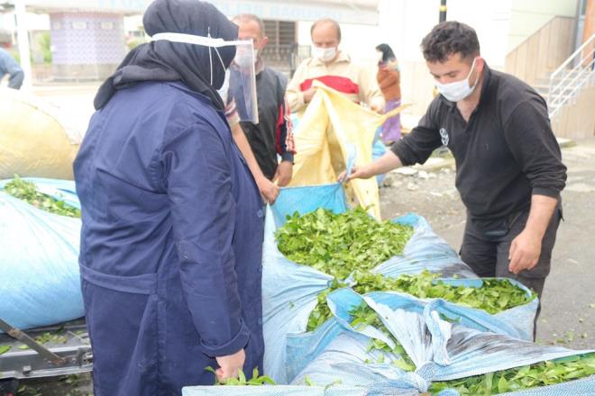 ay tarmnda geen yl olduu gibi byk kentlerden blgeye, 100 binin zerinde retici ve iinin gelmesi bekleniyor.