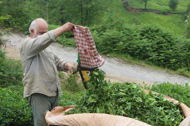 Salk Bakanl'nn verilerine gre 'ok yksek riskli iller' arasnda yer alan Karadeniz illerine yaplacak ay g vaka artlarna neden olabilecei ynnde endie olutu.
