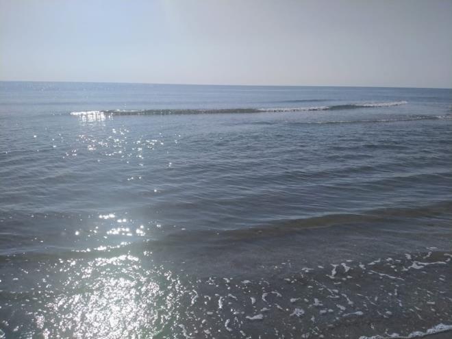 iddetli rzgarn etkisiyle sahile yakn blgeyi saran siyah grnt zerine olay yerine gelen ekipler, denizden kum ve su rnekleri ald.