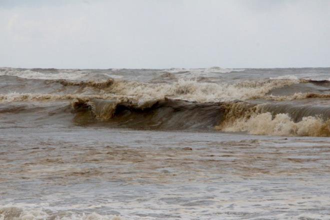 Numuneler, ukurova niversitesi Su rnleri Fakltesi?nde analiz edildi. retim yesi Prof. Dr. Sevim Polat tarafndan yaplan incelemelerde, denizde oluan grntnn, fitoplankton patlamas olduu tespit edildi.