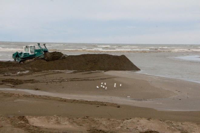 DENZ NORMALE DND  Bunun zerine ekipler, denizde temizlik almas balatt. Temizlik almalar sonucunda Harb-  sahili kirlilikten kurtulurken, Akyatan Lagn de yeniden ald.