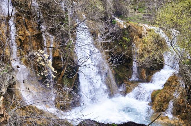 Stres atmak isteyenlerin yeni gzdesi haline gelen blge yeili, doas, tertemiz sularyla ilgi grmeye devam ediyor.