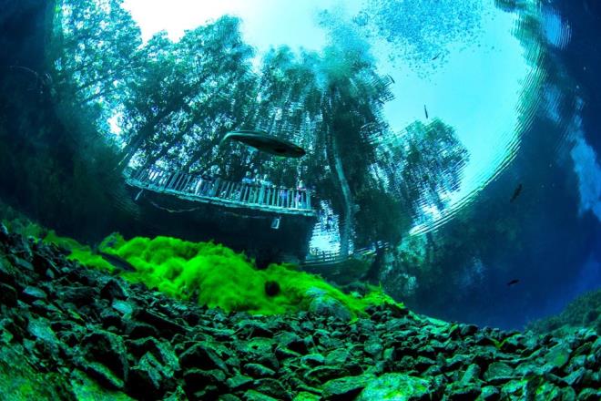 zmir Gzelbahe le Milli Eitim Mdr Murat evik ise Grnl olduunu ve memleketini her ziyaretinde mutlaka Gkpnar Gl'ne geldiini ifade etti.    Gkpnar Gl'nn doa harikas olduunu dile getiren evik, "Trkiye'de ender grlebilecek yerlerden biri. Hem rengi, hem doal gzellii byleyici. Grn'e her geliimizde urarz" ifadelerini kulland.