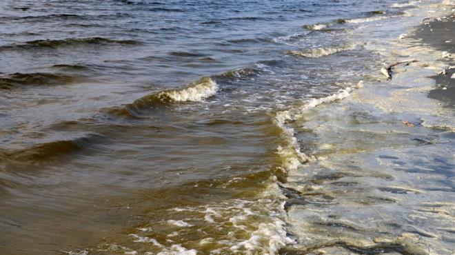 Bu durumun glde her yl ilkbahar karm dnemi olan mart- nisan aylarnda yaandn syleyen Prof. Dr. Glle, tek hcreli yeil alg patlamasnn gle ya da canllara zararnn olmadn; ama yksek fosfor miktarn gstermesi asndan nemli olduunu vurgulad.