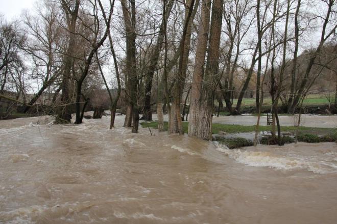 TARIM ARAZLER SULAR ALTINDA KALDI  Derelerin evresinde bulunan tarm arazileri ise sular altnda kald. Saruhanlar kyndeki sera, kullanlamaz hale geldi.