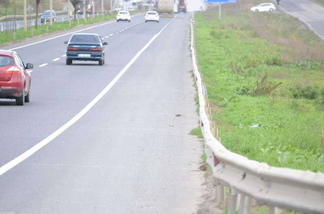 Asfalta kan fareler emniyet eridinde yiyecek bir eyler arad.