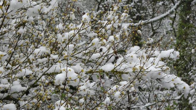 Krklareli'nin yksek kesimlerinde de kar ya etkili oldu.