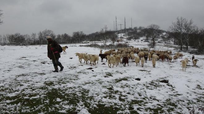 Meteoroloji Genel Mdrl stanbul Blge Tahmin ve Erken Uyar Merkezi'nden yaplan uyarnn ardndan Balkanlar zerinden gelen kar ve souk hava, Trakya'da etkisini gstermeye balad. Edirne, Krklareli ve Tekirda'n yksek kesimleri, kar yayla beyaza brnd.