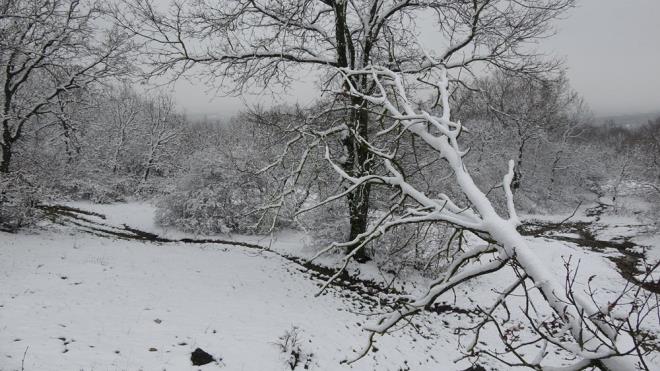 Tekirda'da ise kar ya, yksek kesimlerde etkili oldu. Hava scaklnn eksi 3 derece olduu Ganos Da'nda sabah saatlerinden itibaren etkili olan kar ya, blgeyi beyaza brd.
