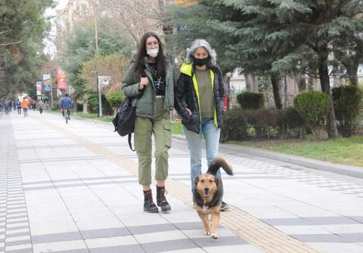 stanbul Aile Hekimleri Dernei Bakan Yardmcs Dr. Mustafa Tamur, stanbul?da 4000 aile hekimi bulunduunu, bir aile hekimine ortalama 3600 hasta dtn belirterek, son verilere gre test pozitif oran yzde 20?yi bulduunu syledi.