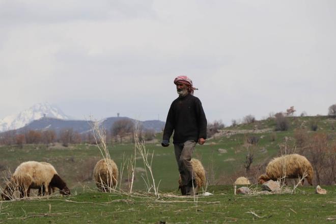 Kn yollar kar nedeniyle kapanan ulamn glkle saland mahallenin tek sakinleri Muhan ifti, blgede obanlk yaparak geimini salyor.