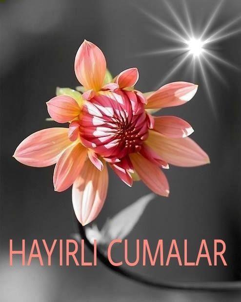 Af dilemekten �ekinmeyin, Hi� bir g�nah Allah?�n Rahmetinden b�y�k de�ildir. Hay�rl� Cumalar. Selam ve dua ile. Dua et, karanl�klar ���k olsun. ��kret, g�nl�n huzur bulsun. T�vbe et, Mevlam kabul buyursun. Cumam�z hay�rlara vesile olsun? Hay�rl� Cumalar. Rabbim nefsimize Celaliyle, kalbimize Cemaliyle, hayat�m�za Hikmetiyle, hatalar�m�za Rahmetiyle, mah�erde Muhammed?iyle yard�m etsin �n�allah. Dualar�n�z da yer bulmak �midiyle Hay�rl� Cumalar. Selam ve dua ile.