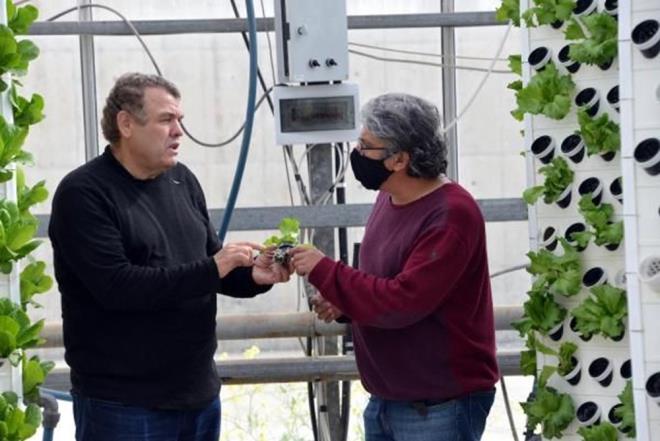 "Eer alannz darsa, kullandnz alan bakmndan sknt ekiyorsanz o bitkileri yatay kltrde yerletirebilmek iin metrekare hesab yaptnzda birok alan ihtiya duyuyor." diyen Aknc, Dikey kltrlerin en byk avantaj bitkileri bir stun ierisinde dikine yerletirerek hem alandan kazanm hem de bitkilerimizi alan kaplayan sistemlere gre daha kontroll ve daha imkn bol bir ekilde, aan en randmanl ekilde dikey su kltrlerini kullanmamz mmkn. Yatay kltrde rnein bir metrekarelik alanda marul veya kvrck dndmzde 7'den 12'ye kadar bitki sdrabilirken bizim gelitirdiimiz dikey kltrde 144 saysna kadar ulamamz mmkn. Yani en az 10, 12, 13 katna kadar daha fazla sayda bitki elde etmek demektir."