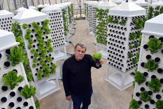 Dnyada artan nfusa oranla tarm arazisinin azalmas nedeniyle birok lkede bitkiler, topraksz ortamda, bitkiler iin gerekli besin maddelerinin verildii su kltrnde yetitiriliyor.