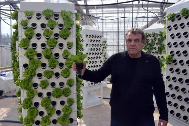 Bu kapsamda KS'de yaplan almada dikey su kltr gerekletirildi. Prof. Dr. Ersin rfan Aknc ile Teknokent'te bir irketin ortak almasyla yaplan sistemde her bir kulede 140 bitki yetitirilebiliyor ve bitkinin topraktan almas gereken besin maddeleri suda zdrlerek bitkilere veriliyor.