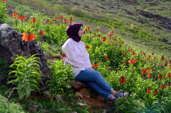 2872 sayl evre Kanunu?nun 20'nci maddesinin k bendine gre bu laleden bir tane koparan kiiye ise 80 bin 465 TL idari para cezas kesilecei belirtildi.