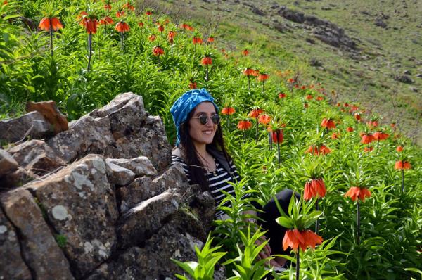 Demir, "lkemizde ok nadir ama ilimizde fazlasyla bulunan, 'alayan gelin' olarak nitelendirilen ters lalelerin Tarm ve Orman Bakanl tarafndan koruma altna alnmas biz doaseverleri ile fotoraflar ziyadesiyle memnun etmitir" ifadelerini kulland.