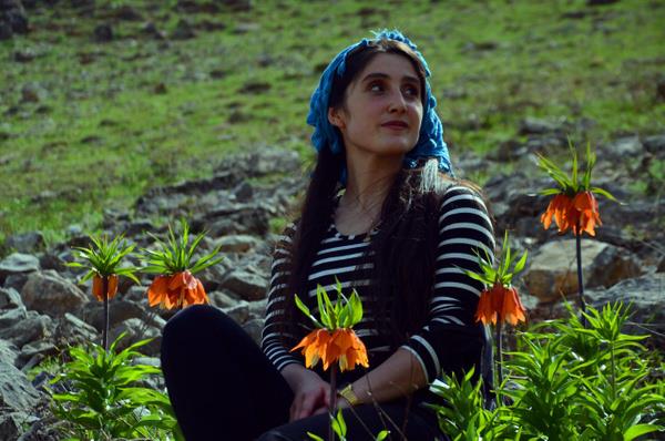 Bu arada; Tarm ve Orman Bakanlna bal Doa Koruma ve Milli Parklar Genel Mdrl tarafndan yaplan yazl aklamada nesli tehdit, tehlike altnda olan veya nadir bulunan soanl bitki trlerinden biri olan ters lalenin toplanmas, soanlarnn karlmas, tanmas ve satlmasnn yasak olduu belirtildi.