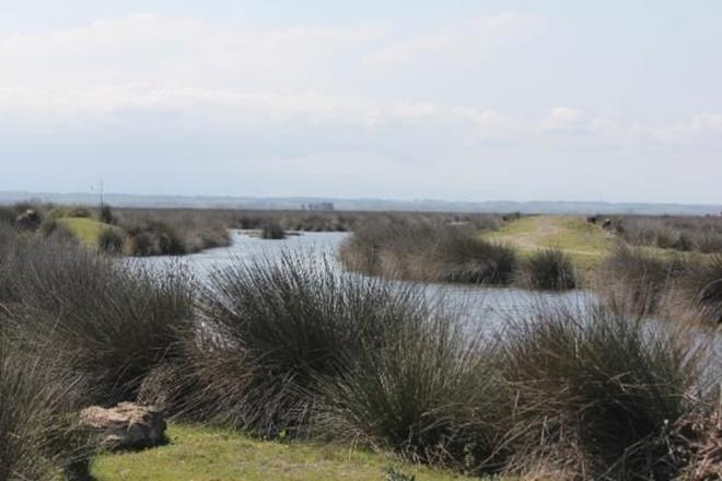 Avrupa Ku Alanlar envanterindeki en nemli 4 kriterden 3'ne sahip olan Kzlrmak Deltas, g srasnda Karadeniz'i dorudan aan ku trleri iin yaamsal nem tayor.