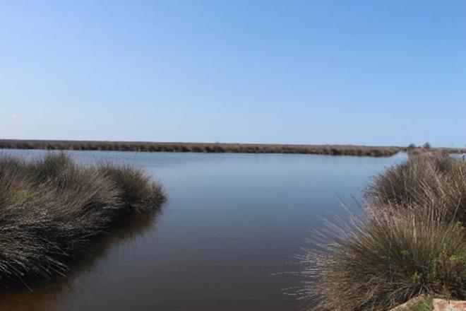 Kzlrmak Deltas Ku Cenneti'nin Dnya Miras Daimi Listesi'ne alnmas ile blgenin daha etkin korunmas amalanyor.