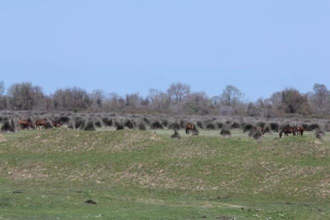 Prof. Dr. Uzun, ?Biz bu durumu bir ailenin btesine benzetebiliriz. Deltada, dalgalarla ve ky akntlaryla birtakm erozyonlar sz konusudur; bir de akarsuyun getirdii sedimentler vardr. Bu ikisinin birbirini dengelemesi gerekiyor." dedi.