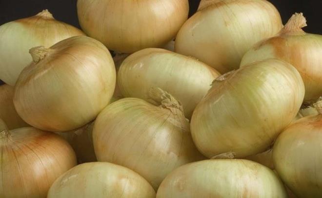 Soan az miktarda etilen retse de patates soann kokusundan bozulmaya meyillidir.