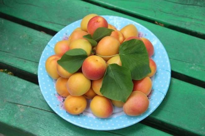 Oda scaklnda saklanmas tatlanmasn salayacak ancak ok erken buzdolabna koyulmas tadn kaybettirir.