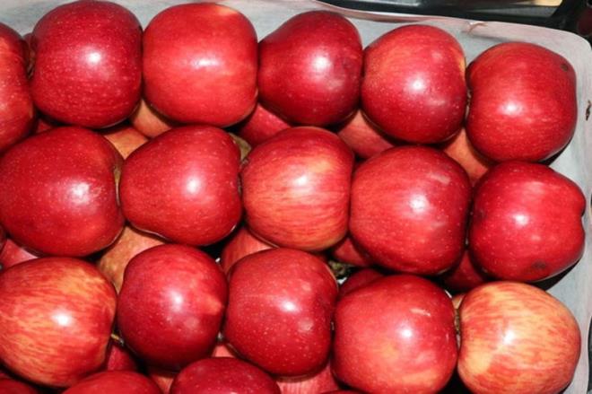 "Sepetteki bir rk elma tm sepeti rtr" diye bir laf vardr. Ancak sadece rk elma dier elmalar rtmyor, iyi elma da baka meyvelere zarar verebiliyor.