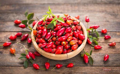 Ar ve nflamasyonu Azaltr<br>  Kuburnu; inflamasyonun ve eklem arlarnn azaltlmasnda nemli etkileri bilinen galaktolipidler ile polifenoller asndan olduka zengindir. Bu sayede osteoartrit ve romatoid artrit hastalarnda grlen eklem arlarnn dindirilmesinde, otoimmn hastalklar ve kronik enfeksiyonlarda inflamasyonun azaltlmasnda etkili olabileceini gsteren almalar mevcuttur.