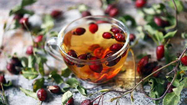 lkemizde yaygn olarak Karadeniz, Dou Anadolu ve Marmara Blgeleri?nde yetiir. Fakat daha seyrek de olsa  Anadolu illerinde ve Ege Blgesi?nde de kuburnu bitkisi yetitirilir. Kuburnu bitkisinin faydalar yle;