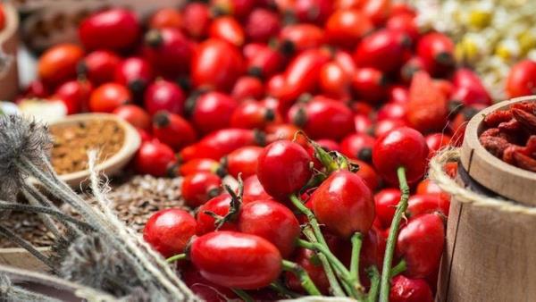 Baklk Sistemini Glendirir<br>  Kuburnu; baklk sisteminin gl tutulmasnda kilit rol oynayan C vitamininin en yksek oranda yer ald besinlerden bir tanesidir. Bununla birlikte A ve E vitaminleri ile polifenoller asndan da olduka zengin olan kuburnu vcudu enfeksiyonlardan koruyan lenfositlerin retimini destekler. Enfeksiyz ajanlara kar baklk yantn glendirir. Bu nedenle enfeksiyon hastalklarna kar nemli bir koruyucu olduu sylenebilir.