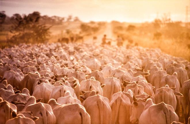 DNYADAK YOKSULLUUN ORTADAN KALDIRILMASININ NNDE BR ENGEL OLUTURUYOR    almann yazarlar, En yksek kii bana gelir diliminde yer alan lkeler ayn zamanda kii bana en yksek kaynak gereksinimi olan lkeler arasnda yer alyor ve bu insanlarn ihtiyac genellikle karlabilecek olanann ok tesinde? ifadelerini kulland. Aratrmaclar, ayn zamanda bu durumun dnyadaki yoksulluun ortadan kaldrlmasnn nnde bir engel olduunu vurgulad.
