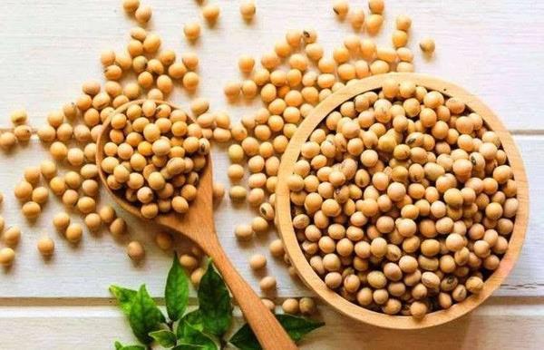 A grubu zayflerken, deniz rnleri, sebzeler, ananas, zeytinya ve soya fasulyesi ideal, buday, msr, st ve meksika fasulyesi yememelidir gibi listede her kan grubu iin hem yaam boyu tketmeleri hem zayoflarken en iyi ve kesinlikle yememeleri gereken besinler uzunca anlatyor.