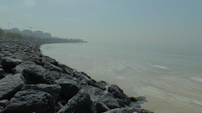 evredeki balklar deniz salyas istilasndan olumsuz etkiledi.