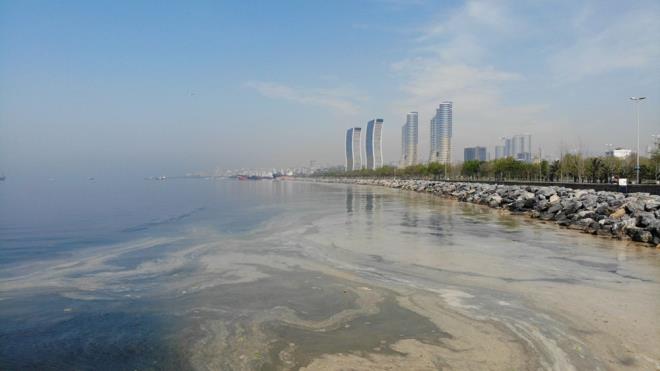 Vatanda Nilfer Sert, "Daha nce Kartal Sahili'nde grlmt" dedi.