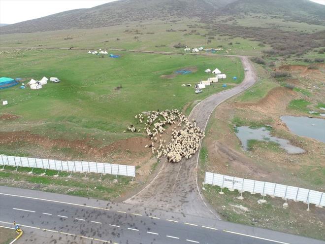 Hayvancla adadklar yaamlarnn byk blm yolda geiren gerler mola verdikleri arazide ve ulatklar yaylalarda kurduklar adrlarda ilkbahar ve yaz mevsimini geiriyor, yetitirdikleri hayvanlarla sektre nemli katk salyorlar.